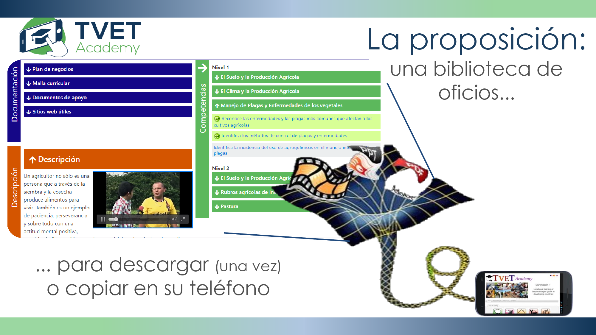 propuesta 8